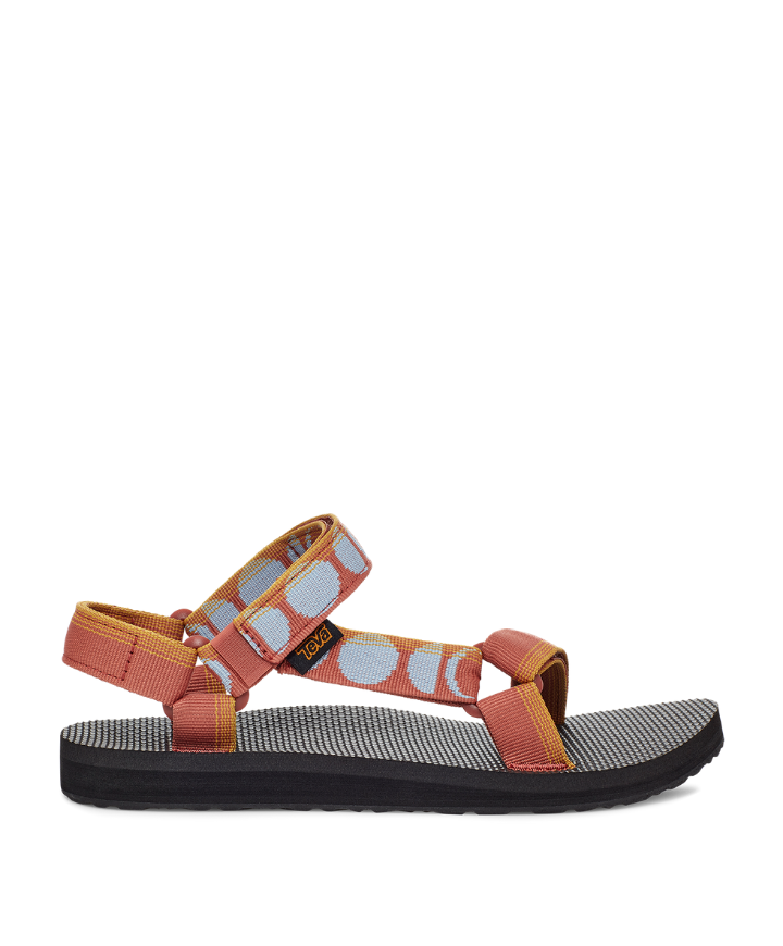 teva haze